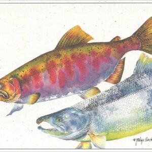 SN512 Coho Salmon Notecard