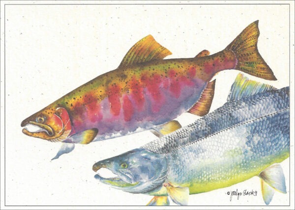 SN512 Coho Salmon Notecard