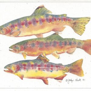 SN516 Golden Trout Notecard