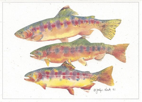 SN516 Golden Trout Notecard
