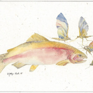 SN530 Rainbow with Mayflies Notecard