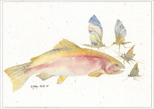 SN530 Rainbow with Mayflies Notecard