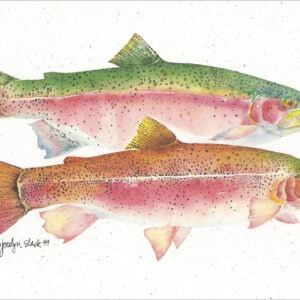 SN576 Rainbow Trout Notecard