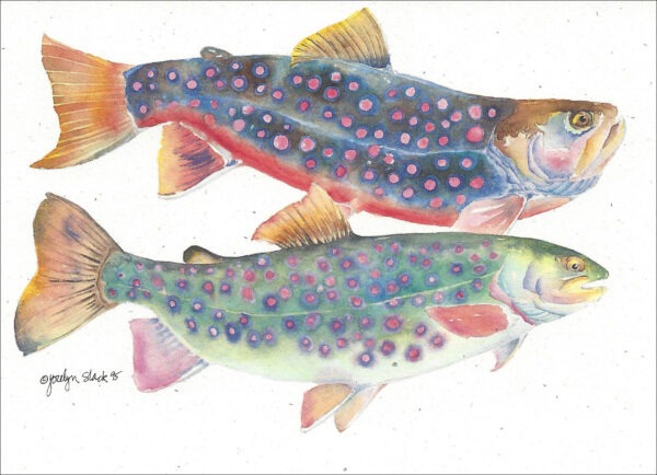 SN578 Dolly Varden Notecard