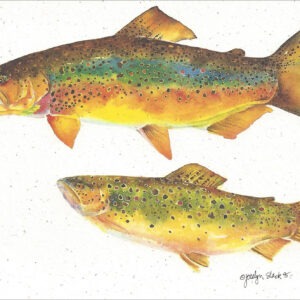 SN579 Brown Trout Notecard