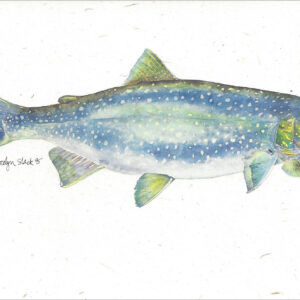 SN580 Lake Trout Notecard
