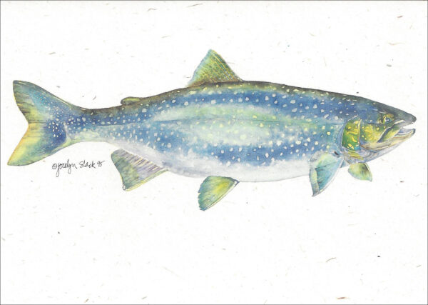 SN580 Lake Trout Notecard