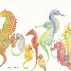 SN601 Sea Horses Notecard