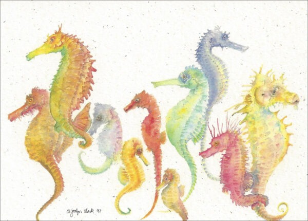 SN601 Sea Horses Notecard