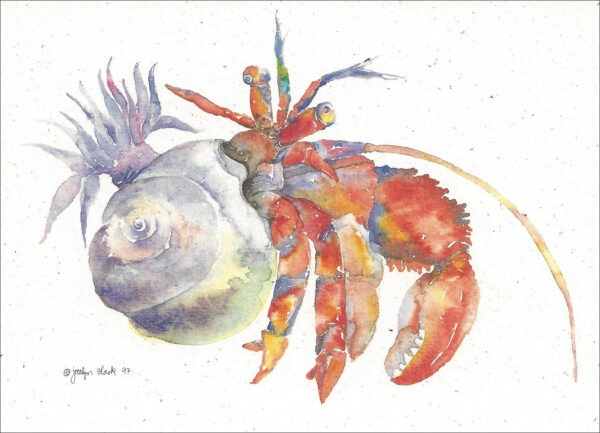 SN602 Hermit Crab Notecard Temporarily out of Stock