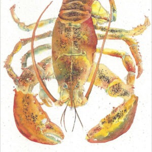 SN604 Lobster Notecard