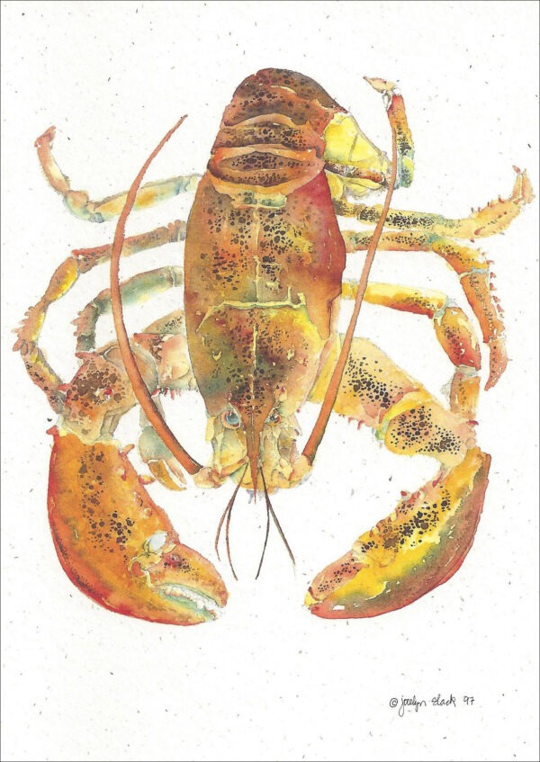 SN604 Lobster Notecard