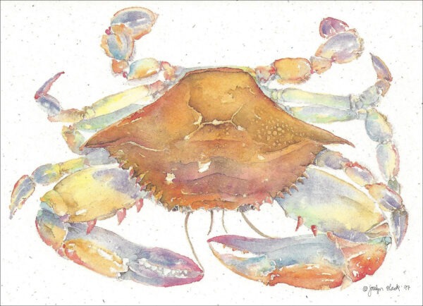 SN606 Blue Crab Notecard
