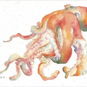 SN607 Octopus Notecard Temporarily Out of Stock