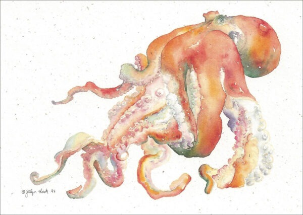 SN607 Octopus Notecard Temporarily Out of Stock
