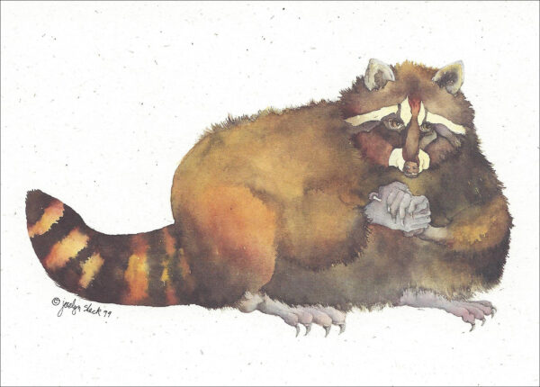 SN609 Raccoon Notecard