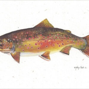 SN623 Bull Trout Notecard