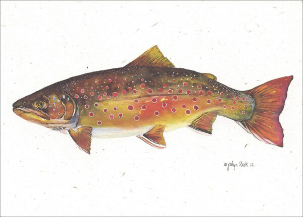 SN623 Bull Trout Notecard