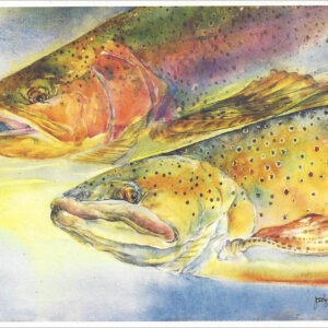 SN624 Brown Trout Notecard