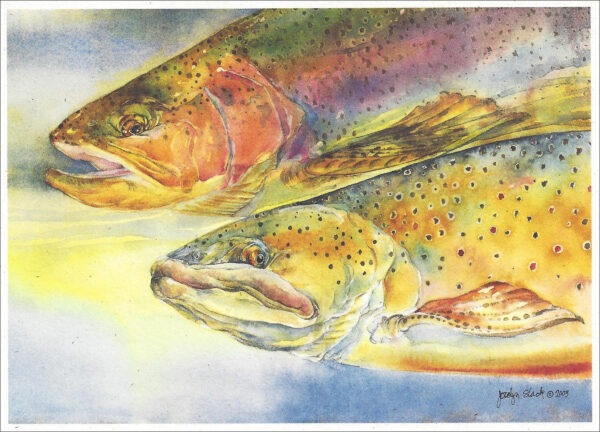 SN624 Brown Trout Notecard