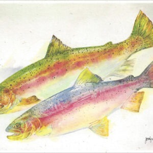SN625 Rainbow Trout Notecard