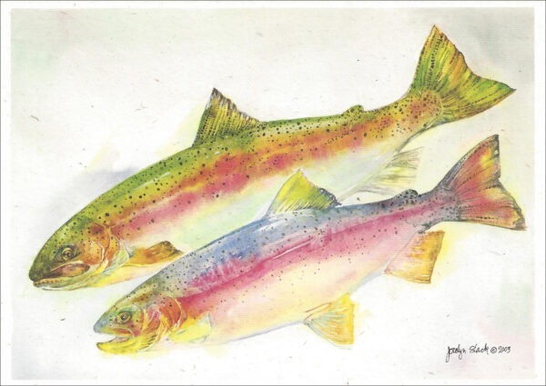 SN625 Rainbow Trout Notecard