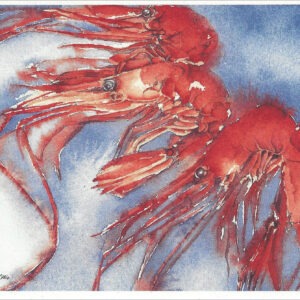 SN634 Shrimp Notecard