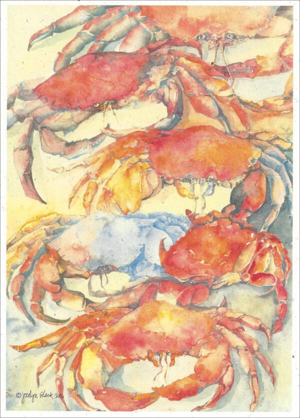 SN635 Blue Crabs Notecard