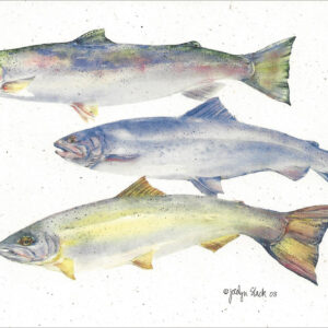 SN645 Steelhead Trout Notecard