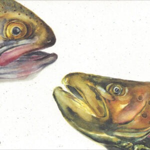 SN646 Two Trout Notecard