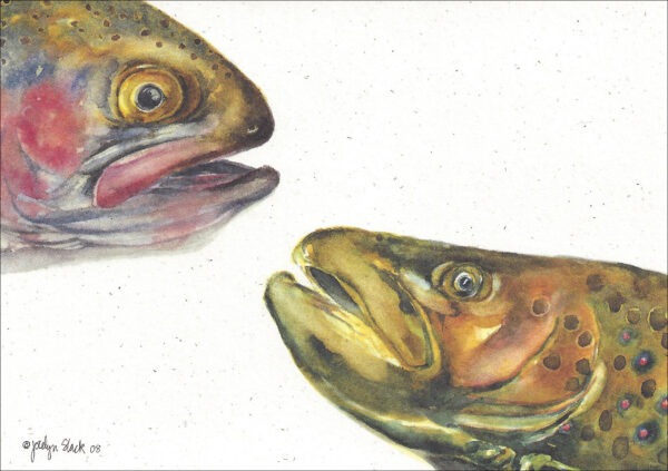 SN646 Two Trout Notecard