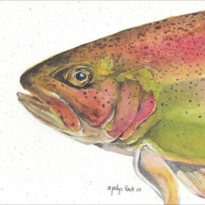 SN648 Rainbow Trout Notecard