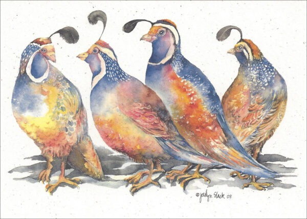SN649 California Quail Notecard