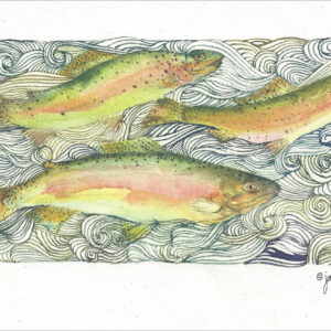 SN665 River Song- Trout Notecard