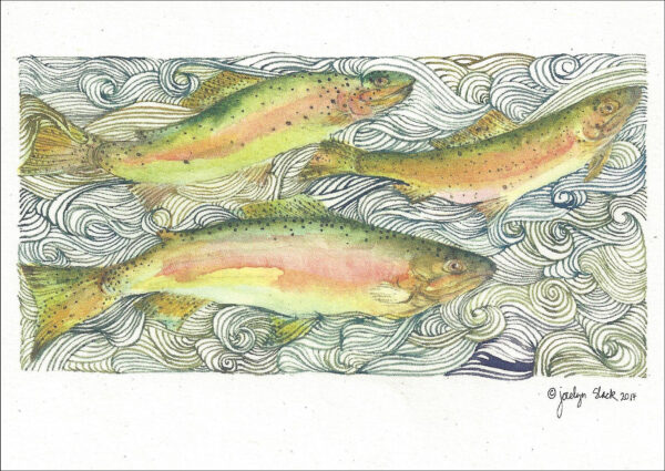 SN665 River Song- Trout Notecard