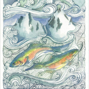 SN667 Mountain Trout Notecard
