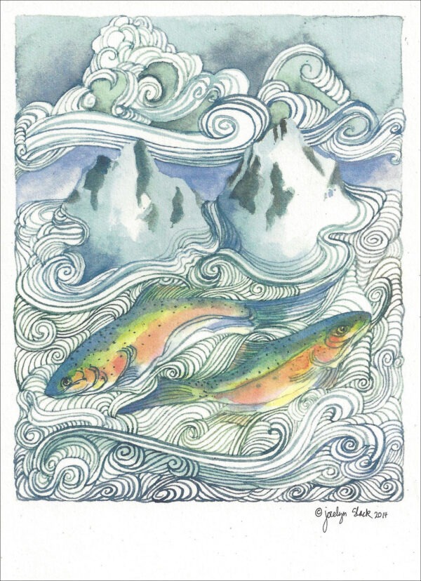 SN667 Mountain Trout Notecard