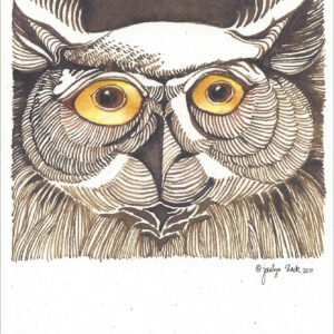 SN671 Owl Nights Notecard
