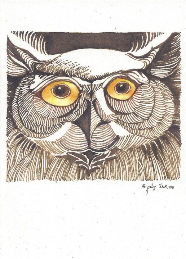 SN671 Owl Nights Notecard