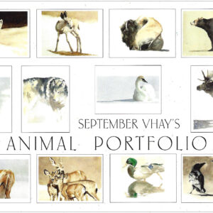 VBA12 Animal Portfolio Assortment Box