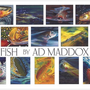 XBF12 Fish Assortment Box