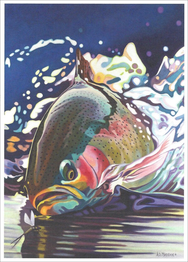 XN887 Running Rainbow Trout Notecard