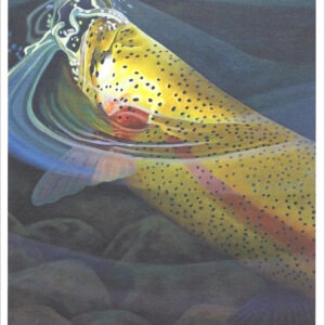 XN888 Rise Series #1-Trout Notecard