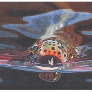 XN889 Snack-Rainbow Trout Notecard