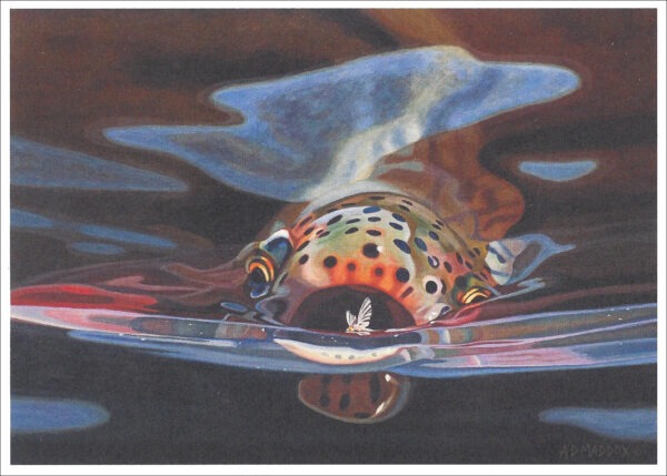 XN889 Snack-Rainbow Trout Notecard