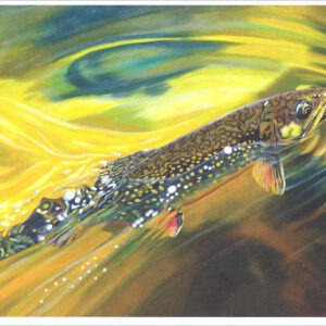 XN890 Strawberry Brook-Trout Notecard