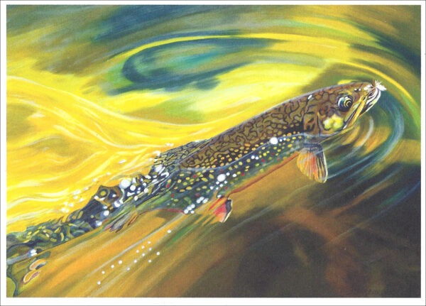 XN890 Strawberry Brook-Trout Notecard