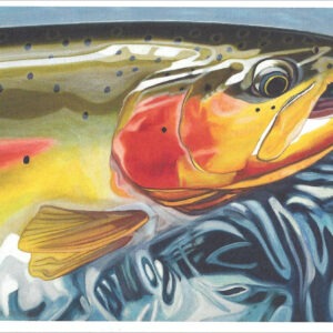 XN891 Upper Green Cutty-Trout Notecard
