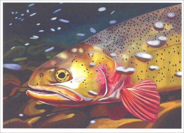 XN892 Deep Cut-Cutthroat Trout Notecard