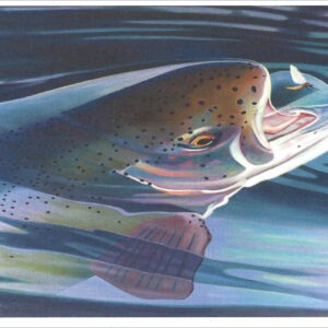 XN893 Rise Series #3- Rainbow Notecard